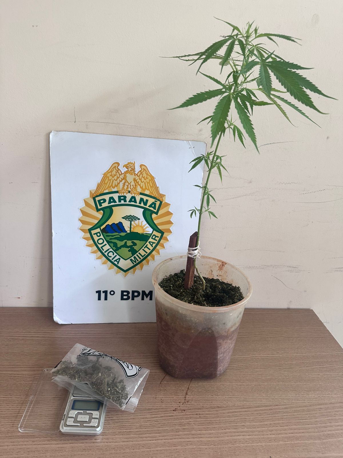 Em Luiziana duas mulheres são presas e um menor apreendido com drogas, são encaminhados por portarem drogas e maus tratos à uma criança de três meses