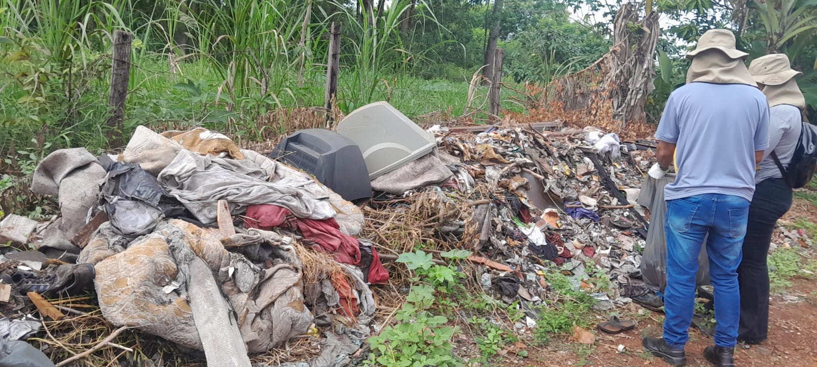 Dengue em Campo Mourão: taxa de infestação aumenta e ações de combate são intensificadas