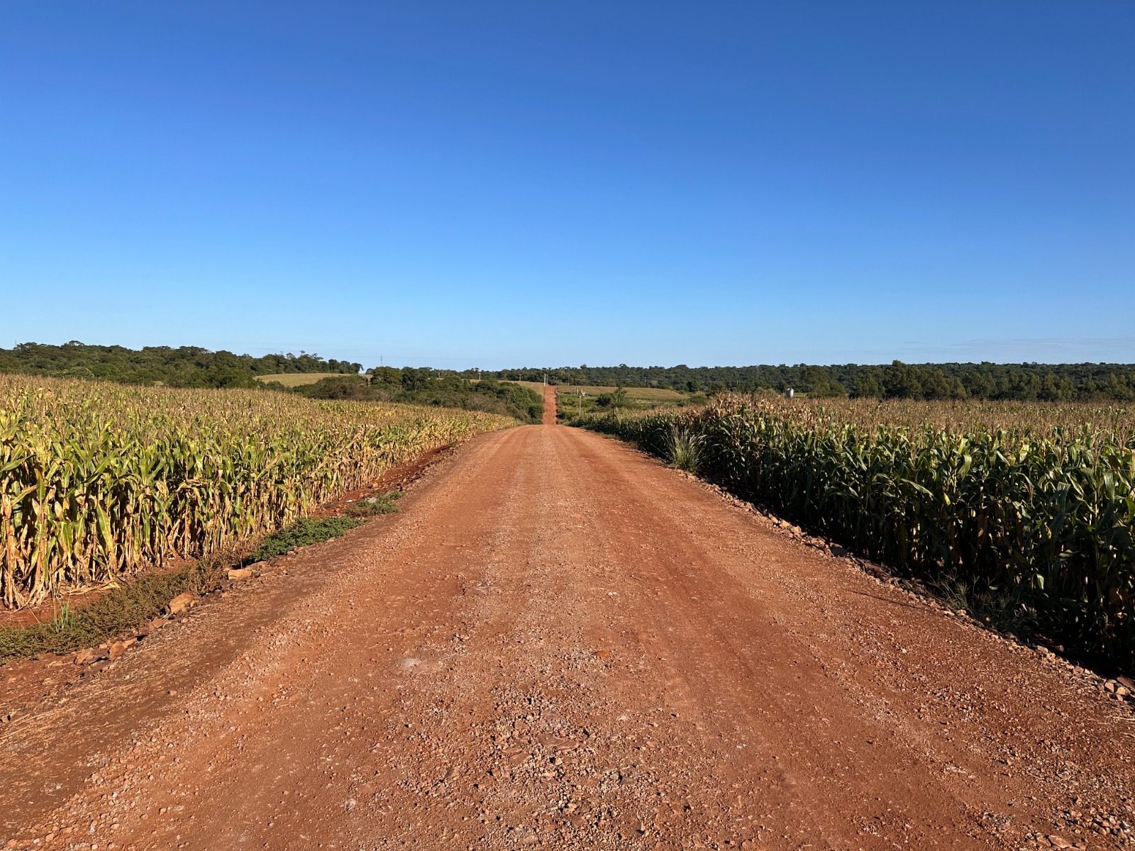 Prefeitura realiza manutenção em estrada rural estratégica para escoamento da produção e turismo