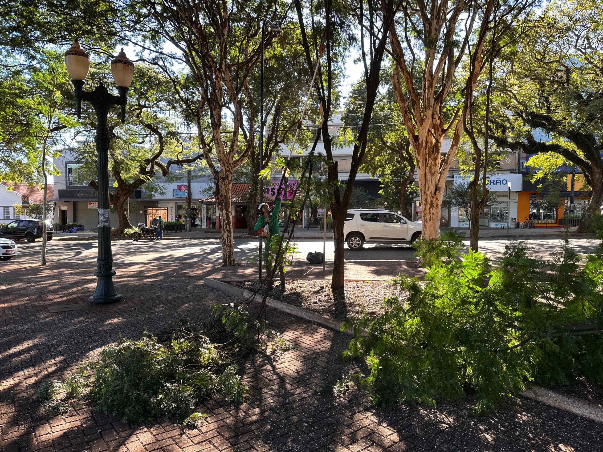Prefeitura de Campo Mourão realiza ação intensiva de limpeza e manutenção nas praças centrais