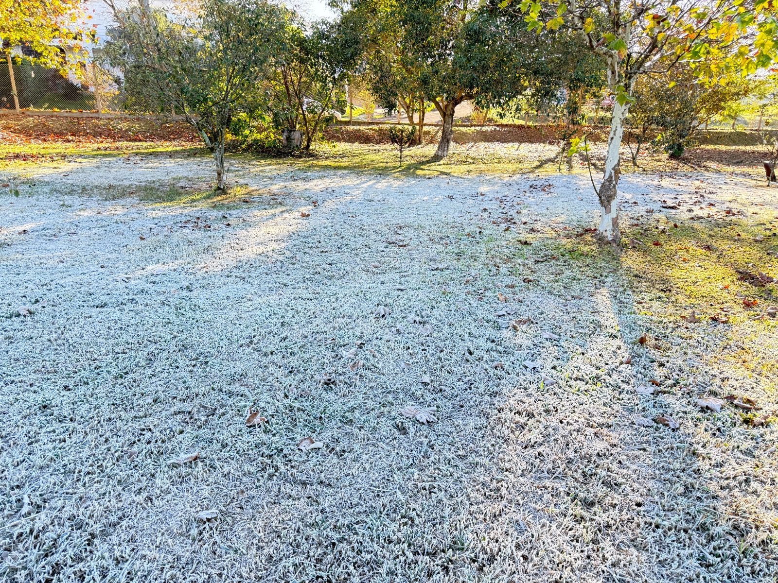 Campo Mourão registra uma das menores temperaturas do ano: –0,2 °C