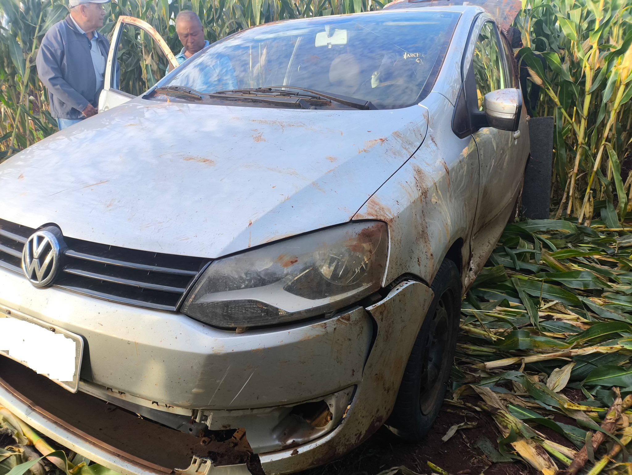 Mulher e Filho Saem Ilesos Após Capotamento na PR-553 ao Desviar de Animal