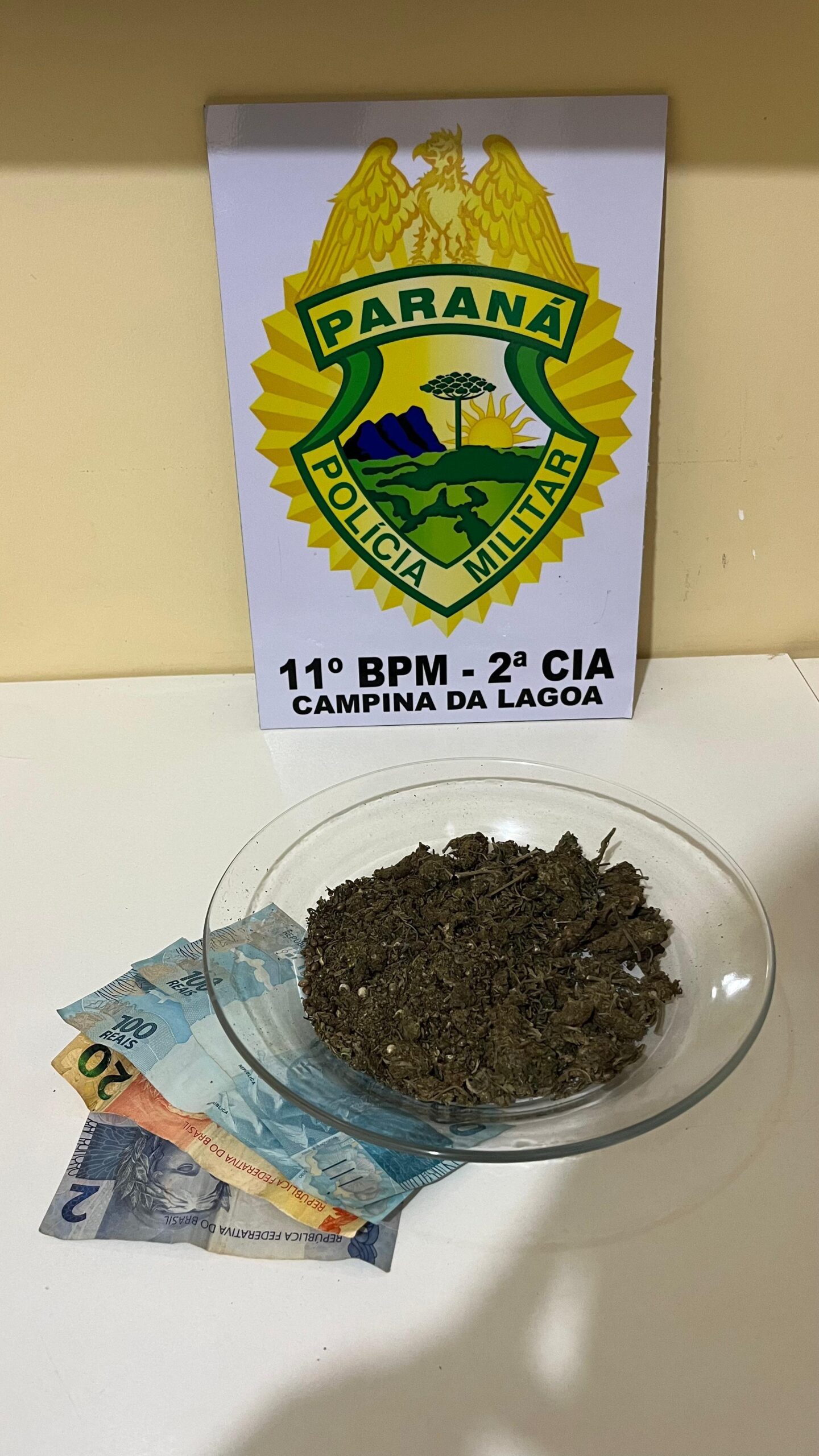 Jovem é apreendido por tráfico de drogas em Campina da Lagoa