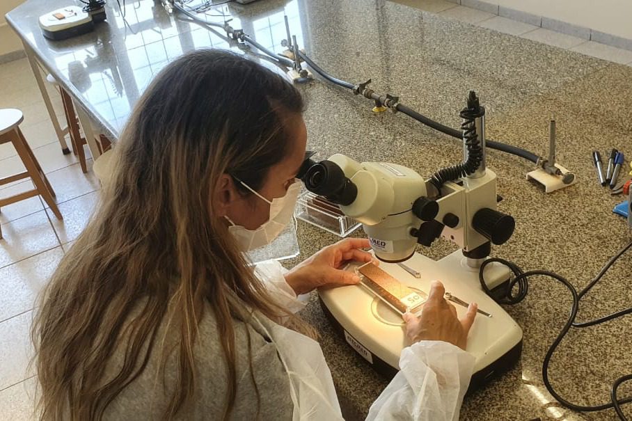 Saúde adota nova metodologia para monitoramento da dengue em Campo Mourão