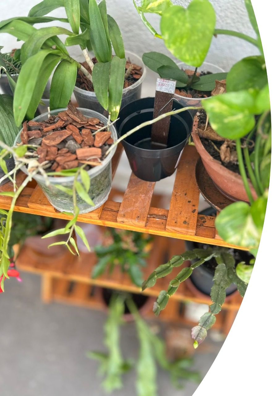 PREFEITURA DE CAMPO MOURÃO ALERTA SOBRE OS RISCOS DA DENGUE