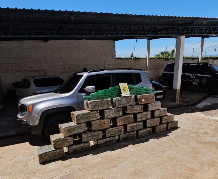 Combate ao Tráfico: PM Apreende Mais de Meia Tonelada de Maconha em Engenheiro Beltrão