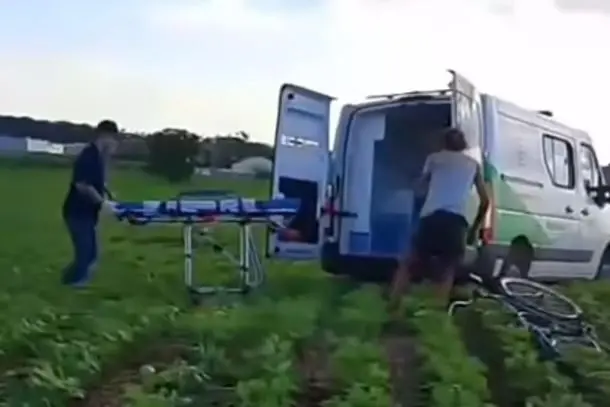 Resgate Vira Bate-Boca na Plantação de Soja: A “Vítima” Só Queria tirar um Cochilo!