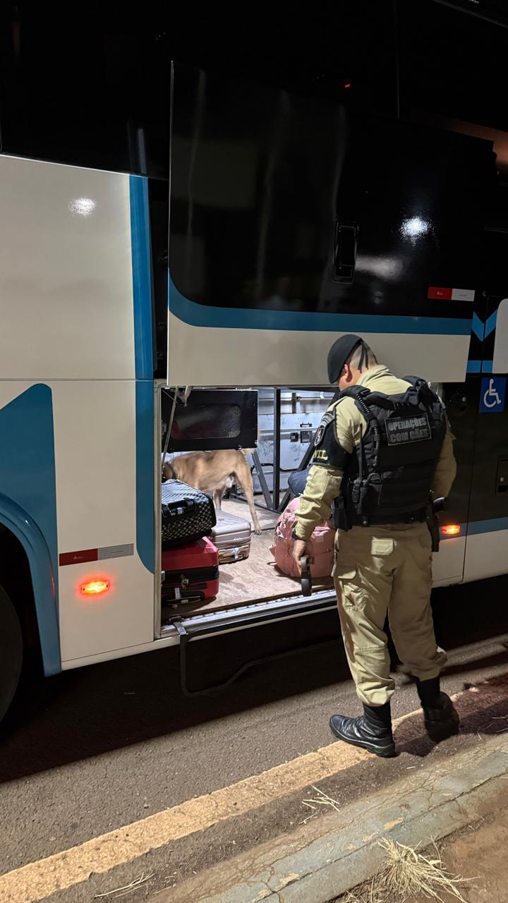PM realiza fiscalização com cães farejadores em ônibus na região de Campo Mourão