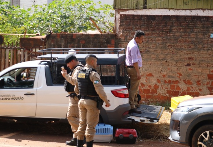 SEMA emitiu multa de R$ 22,4 mil por maus tratos a animais