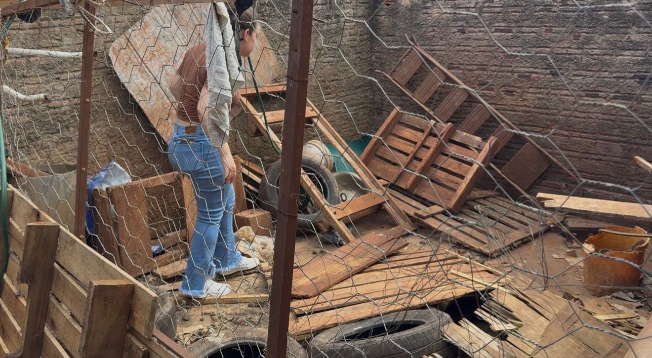 Denúncia de maus-tratos leva ao resgate de cães em situação de abandono em Campo Mourão