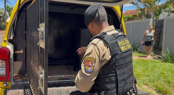 OPERAÇÃO DA PM FECHA PONTO DE TRÁFICO E OITO PESSOAS SÃO ENCAMINHADAS EM CAMPO MOURÃO