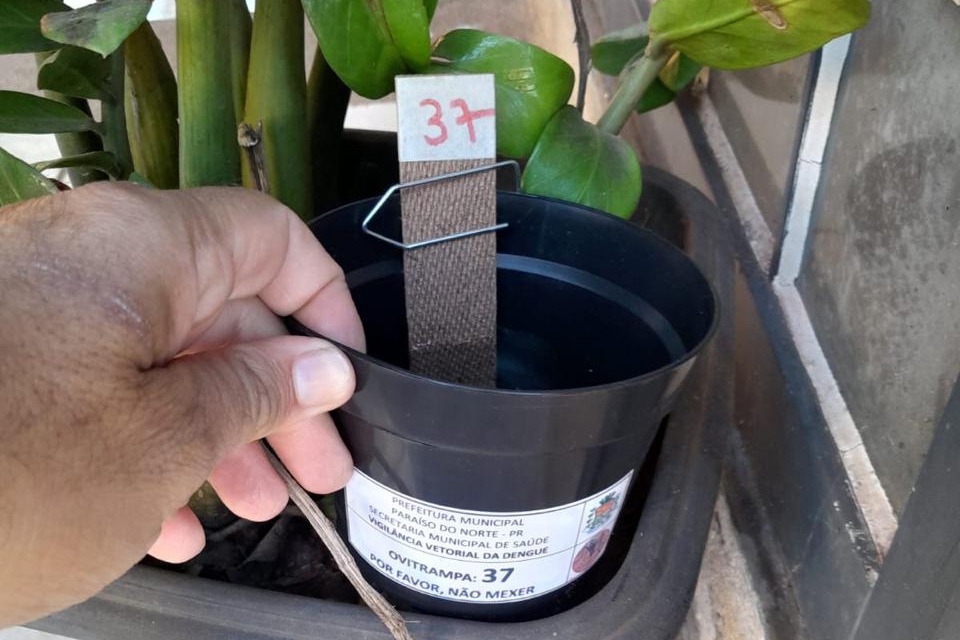 Saúde alerta: dengue está com alto índice em Campo Mourão