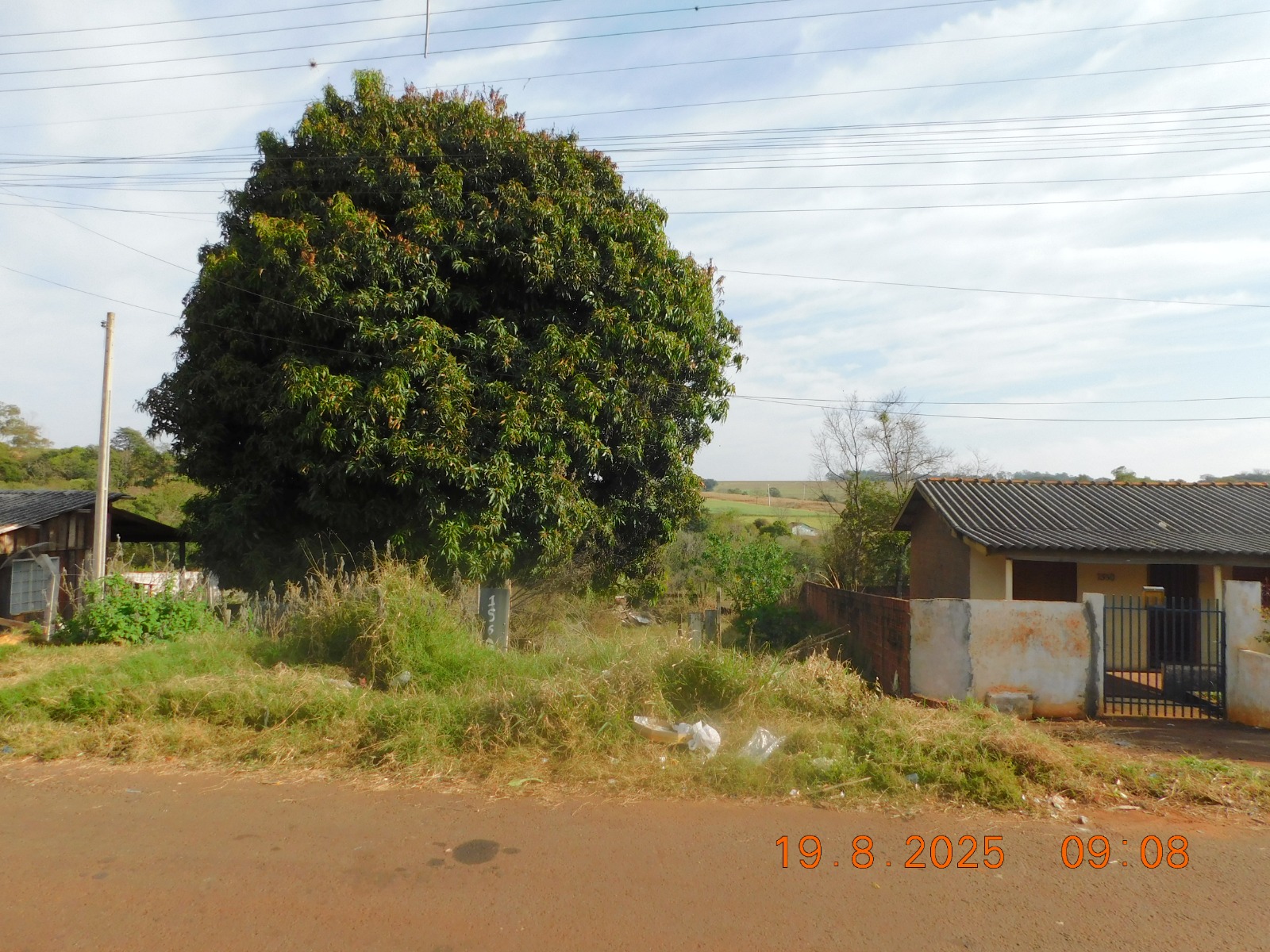 Prefeitura emitiu mais de 1.500 notificações por negligência com limpeza de terrenos em 2025