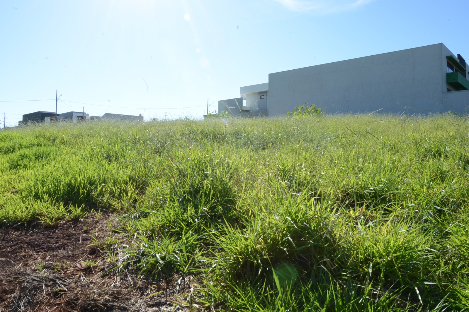 Prefeitura reforça canais da Ouvidoria para denúncias de terrenos sem limpeza