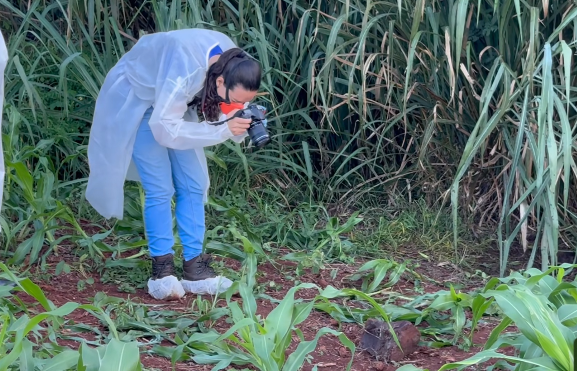 Corpo com sinais de violência é encontrado na entrada de Peabiru