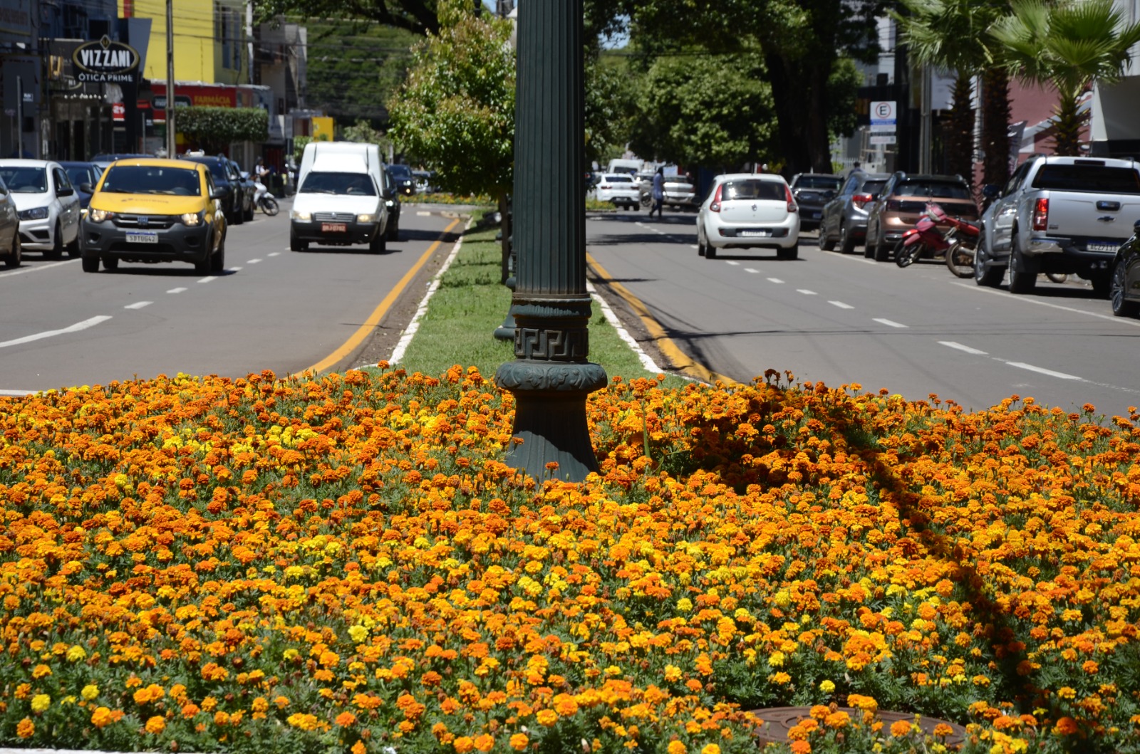 Campo Mourão regulamenta circulação de veículos pesados na área central