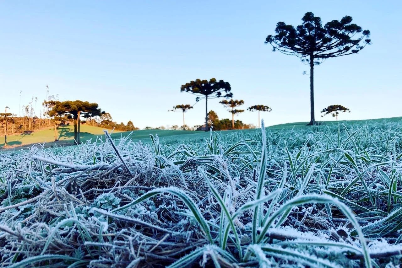 Paraná iniciou semana com -0,6ºC e deve terminar com 34ºC