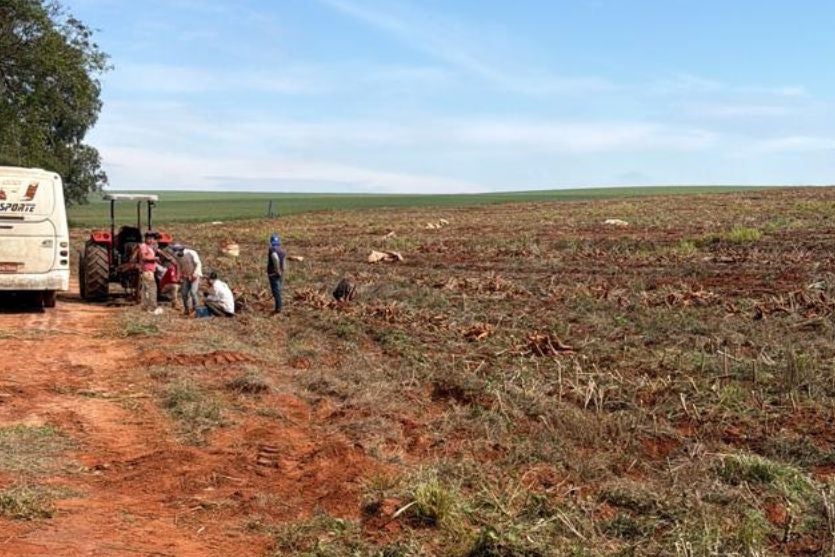 Força-tarefa resgata 18 trabalhadores em situação análoga à escravidão em fazenda de Ivaté, interior do Paraná