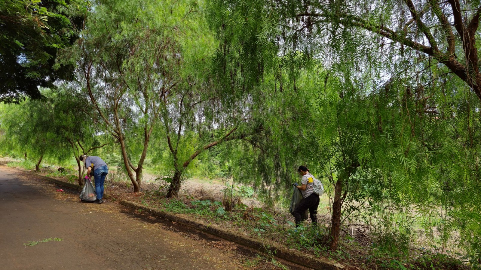 Jardim Paulista recebe ação de conscientização ambiental e mutirão de limpeza neste sábado (1º)