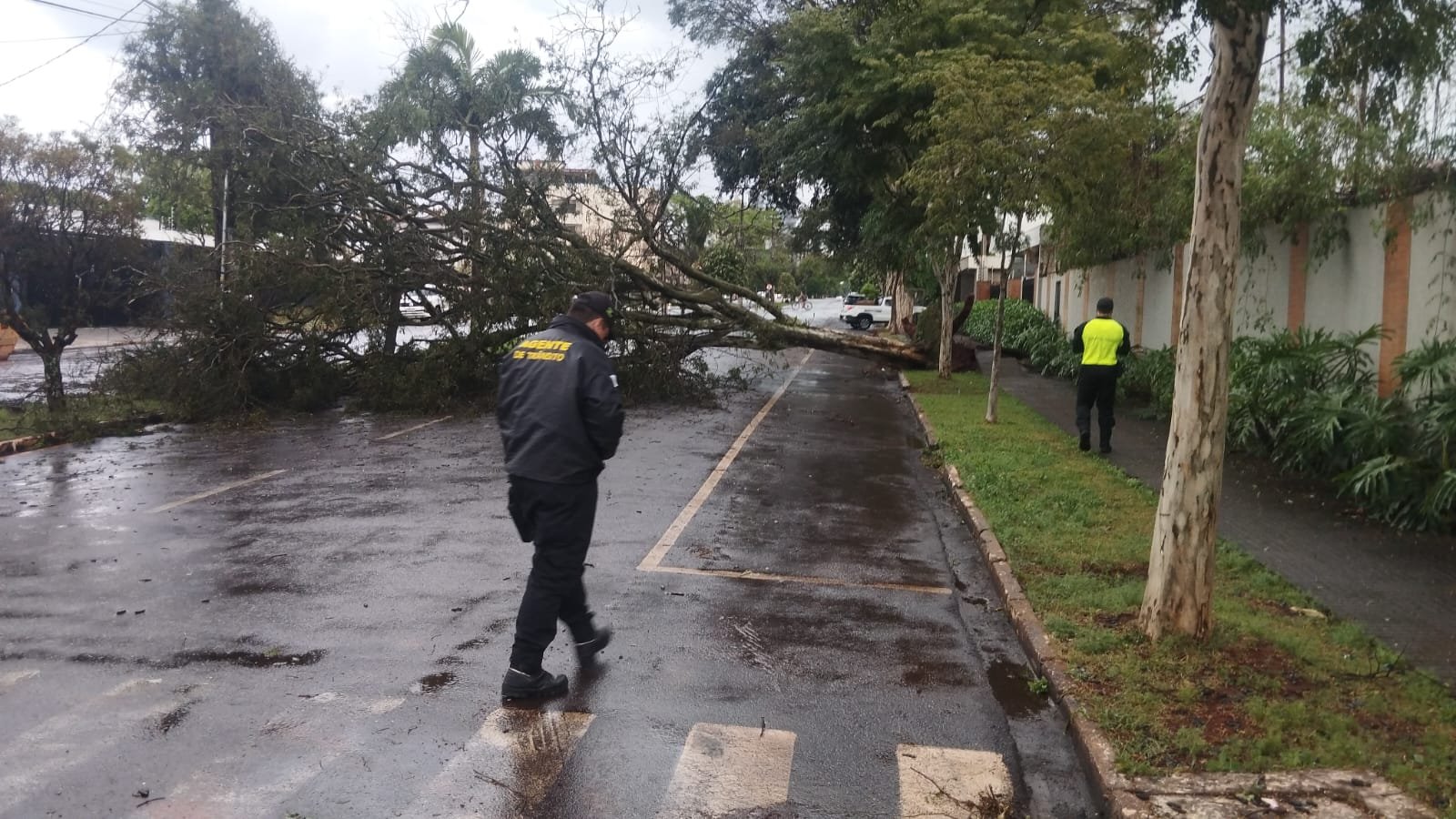 Temporal com fortes ventos causa estragos, queda de árvores e risco de falta de água em Campo Mourão