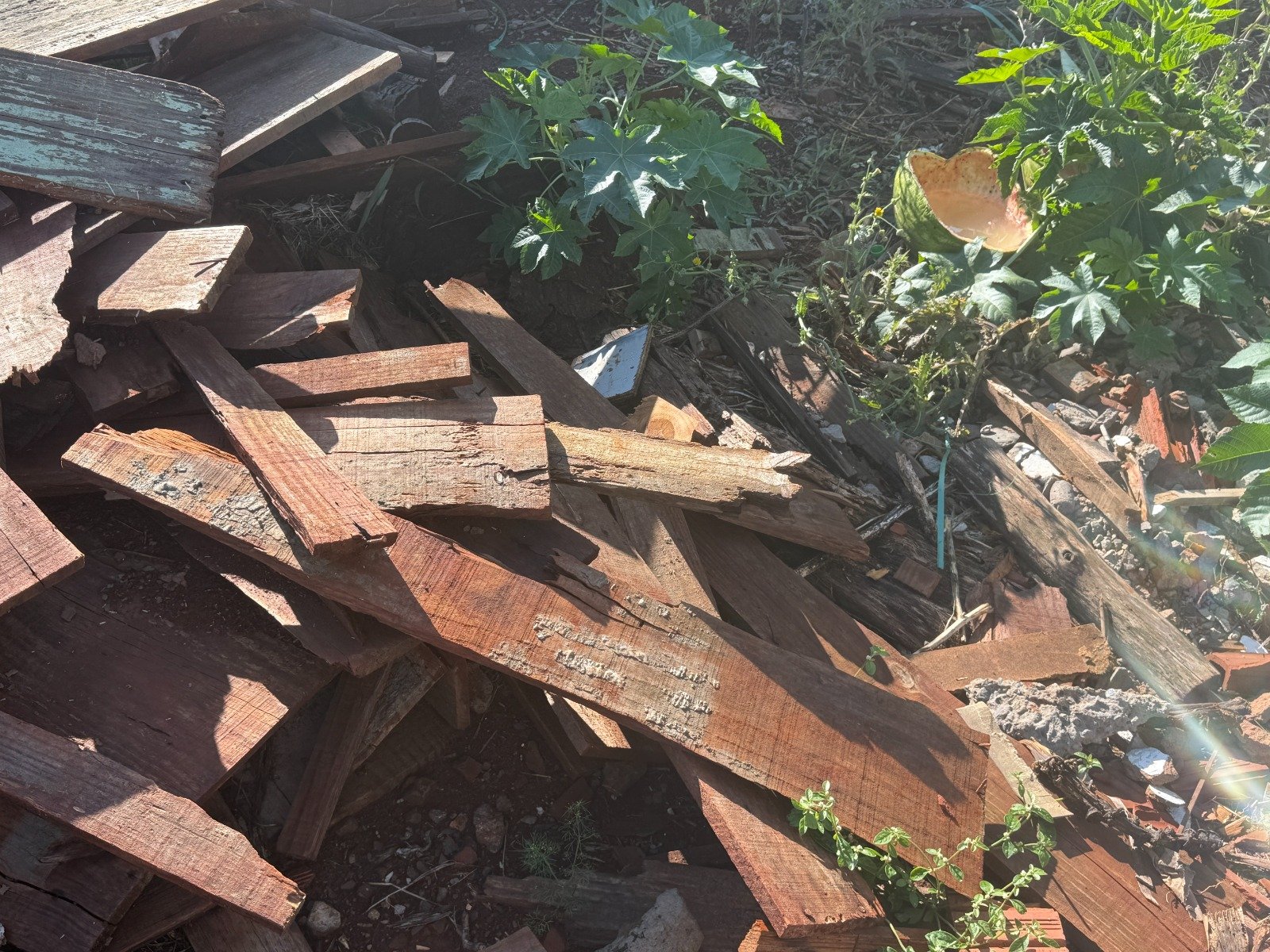 Prefeitura mantém fiscalização de terrenos em todos os bairros de Campo Mourão