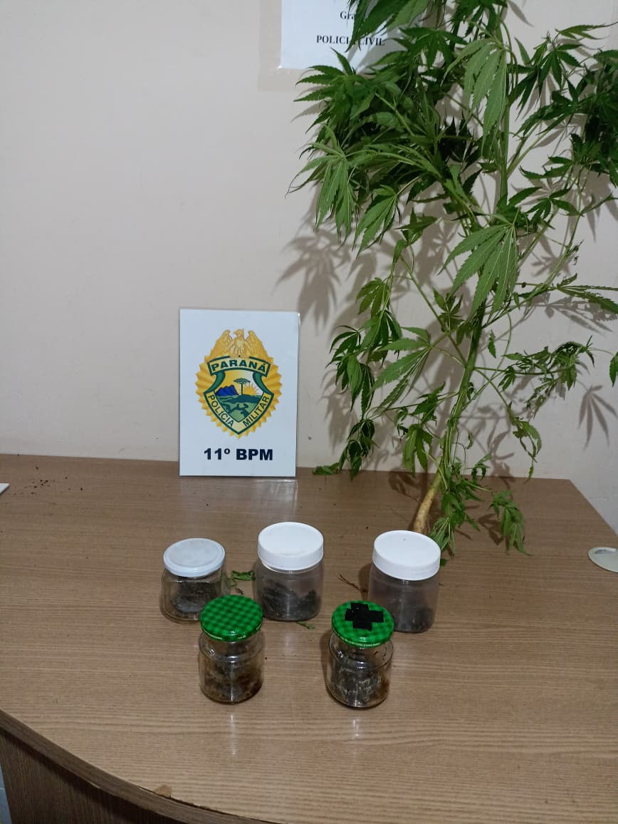 Homem é preso por tráfico de drogas no Jardim Bandeirantes, em Campo Mourão