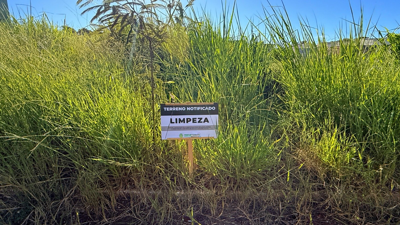 Campo Mourão: SEMA emite mais de 3,3 mil notificações por falta de limpeza em terrenos de janeiro a outubro