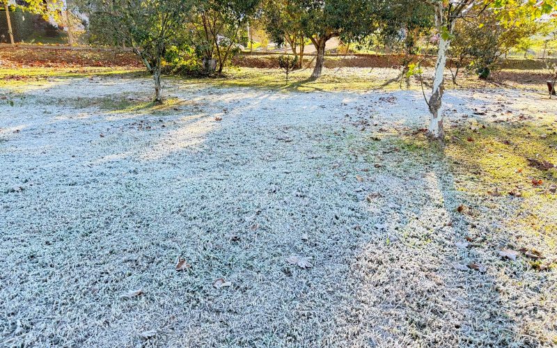 Campo Mourão registra uma das menores temperaturas do ano: –0,2 °C