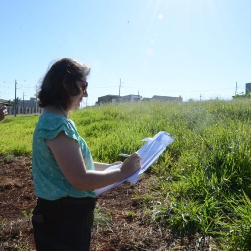 Em um mês, SEMA emitiu 456 notificações por falta de limpeza em terrenos
