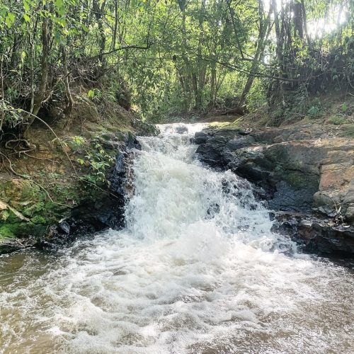Campo Mourão alia riqueza natural, potencial hídrico e desenvolvimento regional no Centro-Oeste do Paraná