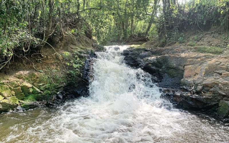 Campo Mourão alia riqueza natural, potencial hídrico e desenvolvimento regional no Centro-Oeste do Paraná