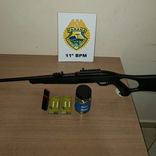 Mulher é atingida por tiro na cabeça em propriedade rural de Farol; PM apreende rifle