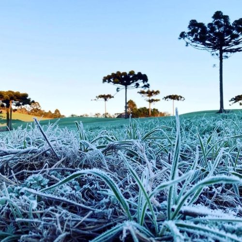 Paraná iniciou semana com -0,6ºC e deve terminar com 34ºC