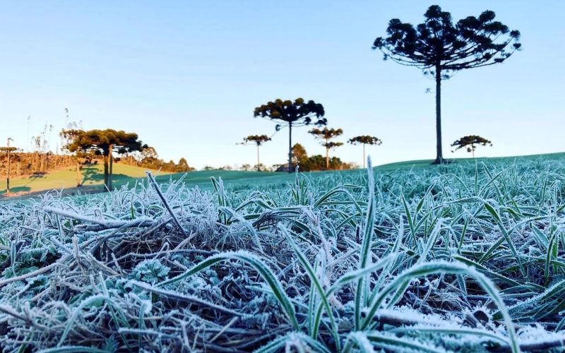 Paraná iniciou semana com -0,6ºC e deve terminar com 34ºC