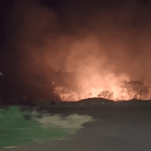 Incêndio em vegetação mobiliza Corpo de Bombeiros em Campo Mourão