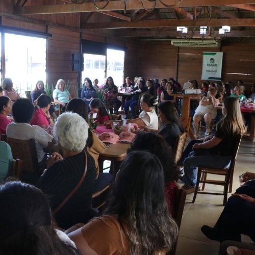 Evento “Mulheres do Campo – Raízes que Fortalecem” celebrou protagonismo feminino no agro e promove conscientização sobre o Outubro Rosa em Campo Mourão