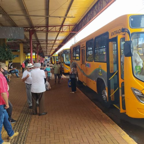 Campo Mourão: transporte coletivo terá linhas especiais para a Festa Nacional do Carneiro no Buraco