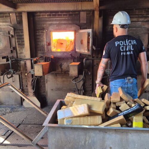 Polícia Civil de Campo Mourão incinera mais de 1,3 tonelada de drogas