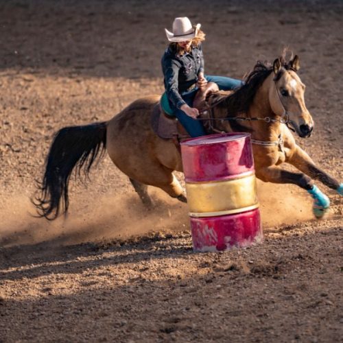 Rodeio e Prova de Tambores prometem agitar a programação da 30ª Festa Nacional do Carneiro no Buraco de Campo Mourão