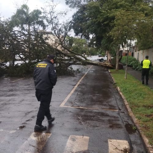 Temporal com fortes ventos causa estragos, queda de árvores e risco de falta de água em Campo Mourão