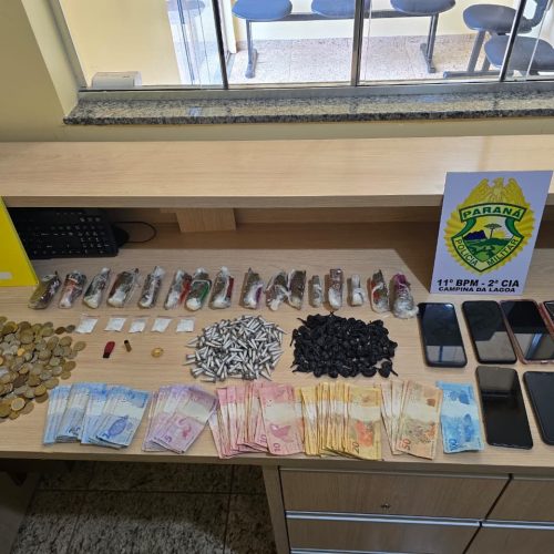 Polícia Militar apreende grande quantidade de drogas e desarticula ponto de tráfico em Campina da Lagoa
