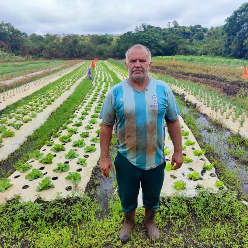 Compra direta garante renda para agricultura familiar de Campo Mourão e alimentação escolar de qualidade