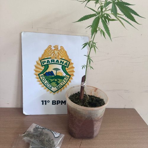 Em Luiziana duas mulheres são presas e um menor apreendido com drogas, são encaminhados por portarem drogas e maus tratos à uma criança de três meses