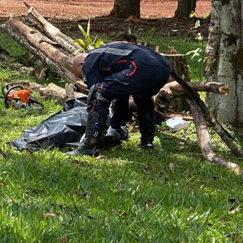 Homem morre durante poda de árvore Chácara do Banestado na usina mourão