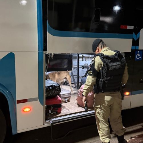 PM realiza fiscalização com cães farejadores em ônibus na região de Campo Mourão