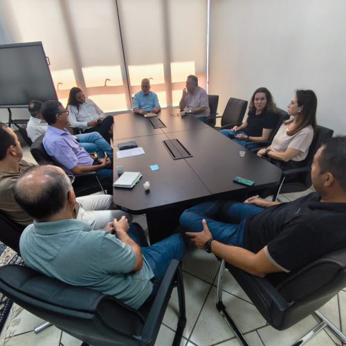 Reunião técnica com o secretário estadual da Saúde alinha investimentos em Campo Mourão