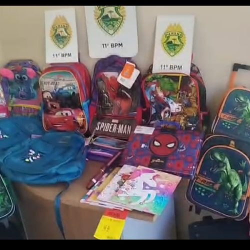 Duas mulheres são presas após série de furtos no centro de Campo Mourão