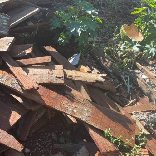 Prefeitura mantém fiscalização de terrenos em todos os bairros de Campo Mourão