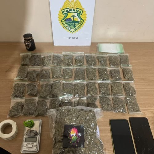 POLÍCIA MILITAR APREENDE 799 GRAMAS DE MACONHA EM PEABIRU