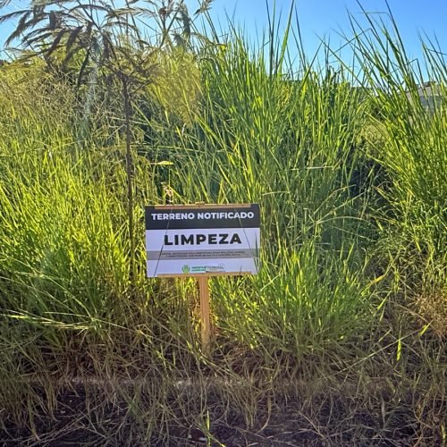 Campo Mourão: SEMA emite mais de 3,3 mil notificações por falta de limpeza em terrenos de janeiro a outubro